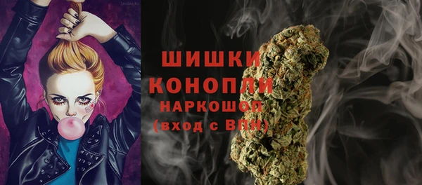 гидра Новокубанск
