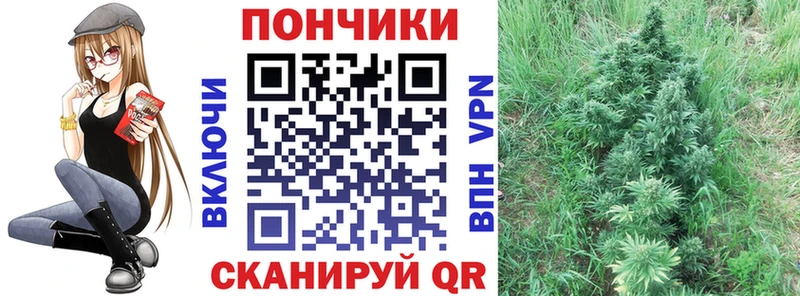 Конопля Amnesia  Николаевск-на-Амуре 